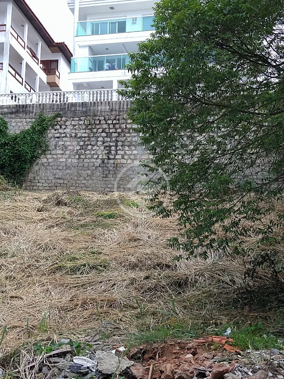 Imagem 2 - Terreno em Agronômica, Florianópolis - SC