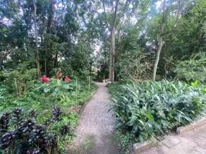 Imagem 6 - Apartamento em Trindade, Florianópolis - SC