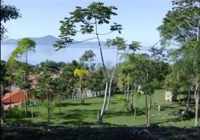 Imagem 2 - Terreno em Ponta de Baixo, São José - SC