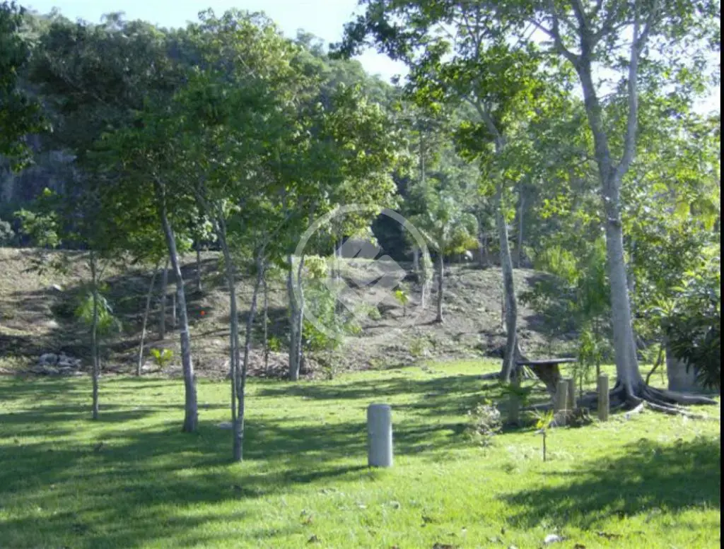 Imagem 1 - Terreno em Ponta de Baixo, São José - SC