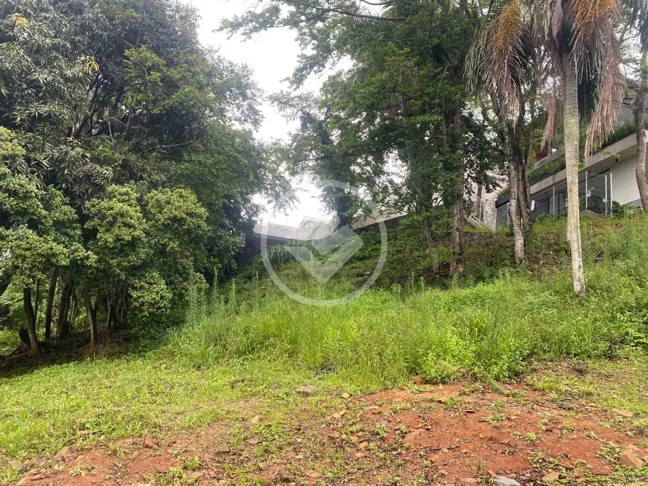 Imagem 1 - Terreno em Córrego Grande, Florianópolis - SC
