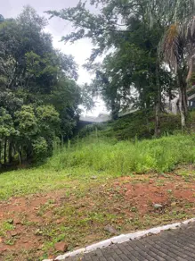 Imagem 6 - Terreno em Córrego Grande, Florianópolis - SC