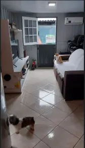 Casa Ribeirão da Ilha, Florianópolis - SC — foto 2