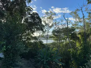 Imagem 3 - Terreno em João Paulo, Florianópolis - SC