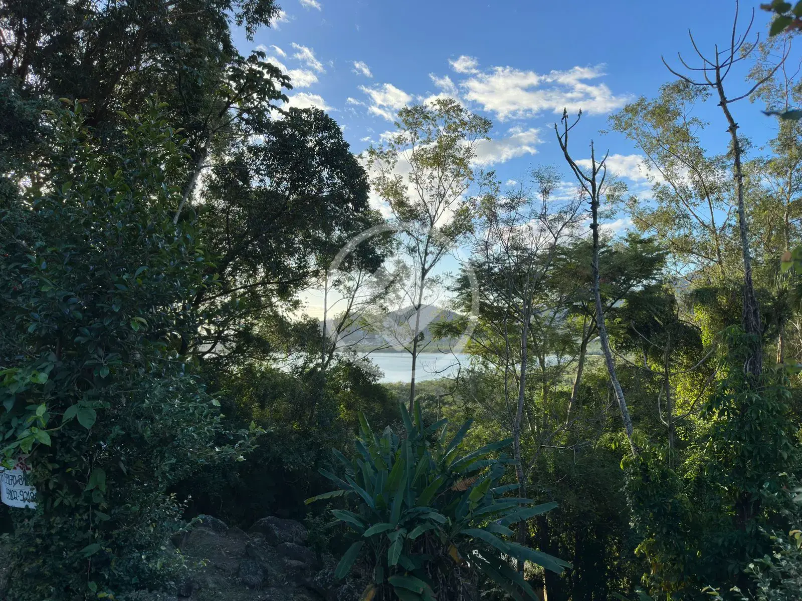 Imagem 3 - Terreno em João Paulo, Florianópolis - SC