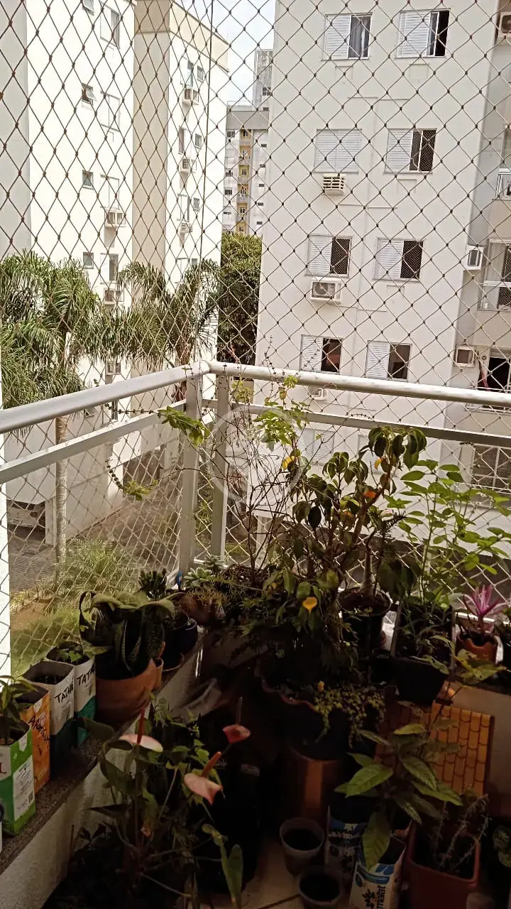 Image 15 - Apartamento em ITACORUBI, Florianópolis - SC