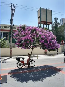 Imagem 2 - Sala Comercial em Centro, Florianópolis - SC
