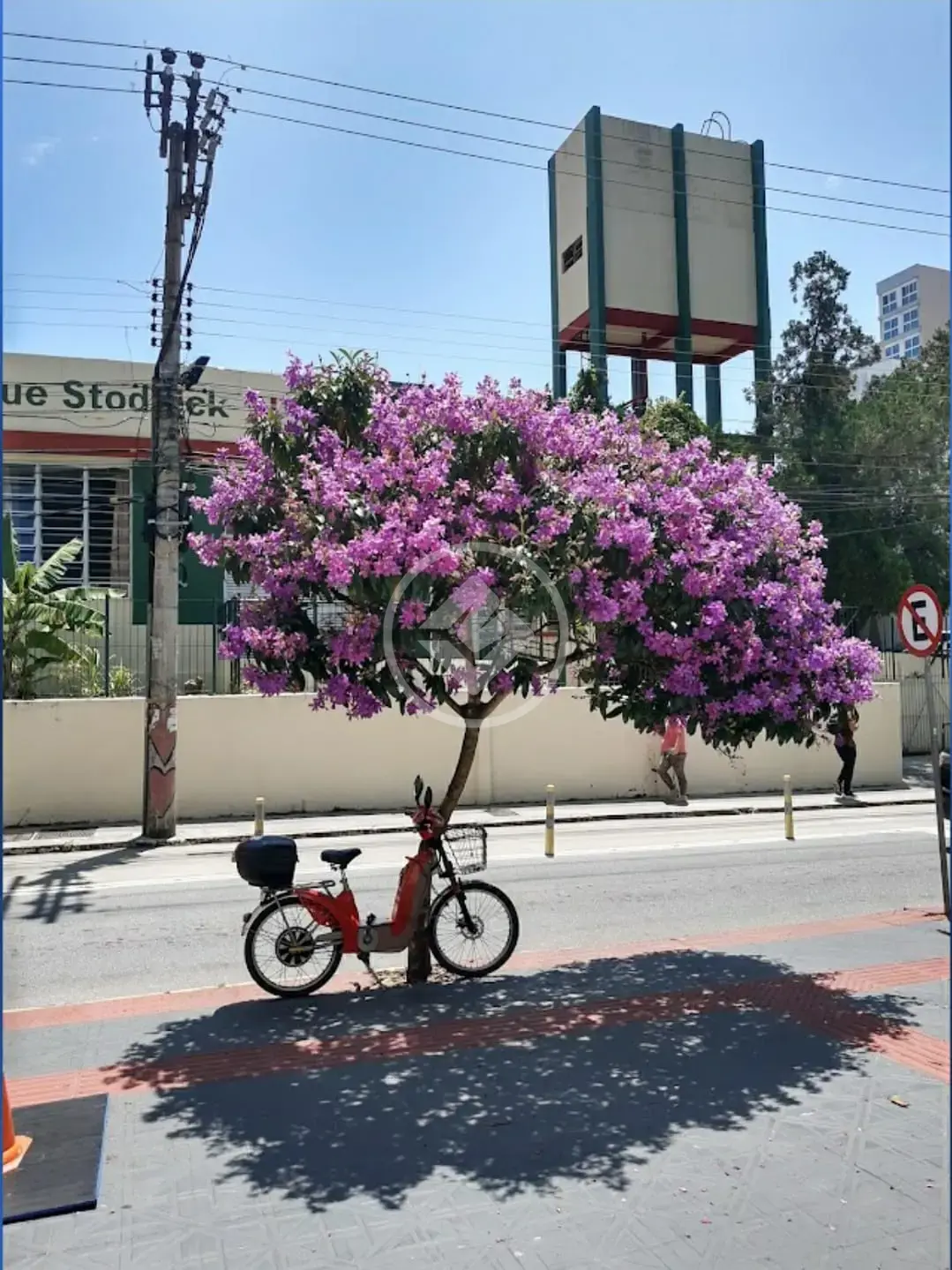 Imagem 2 - Sala Comercial em Centro, Florianópolis - SC