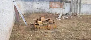 Imagem 4 - Terreno em Campeche, Florianópolis - SC