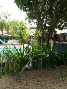 Sobrado Rio Tavares, Florianópolis - SC — foto 2