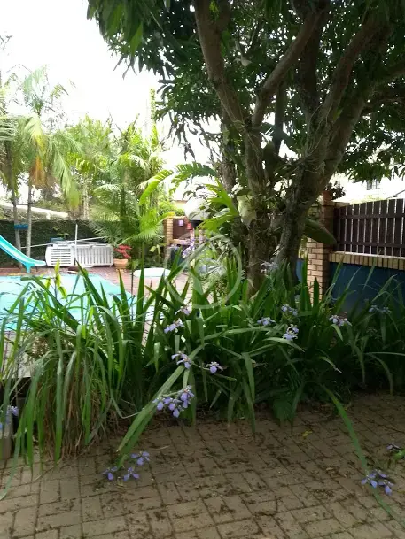 Imagem 1 - Sobrado em Rio Tavares, Florianópolis - SC