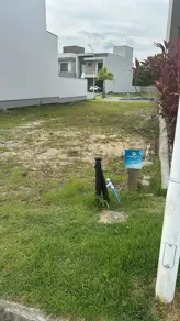 Imagem 5 - Terreno Condomínio em Beira Rio, Biguaçu - SC