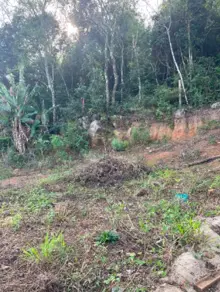 Imagem 4 - Terreno Condomínio em Ribeirão da Ilha, Florianópolis - SC