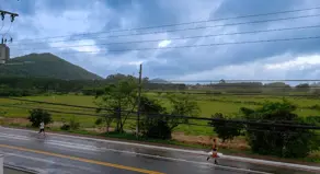 Imagem 5 - Apartamento em Campeche, Florianópolis - SC