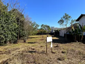 Terreno Campeche, Florianópolis - SC — foto 1
