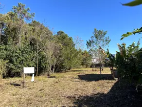 Imagem 4 - Terreno em Campeche, Florianópolis - SC