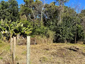 Imagem 5 - Terreno em Campeche, Florianópolis - SC