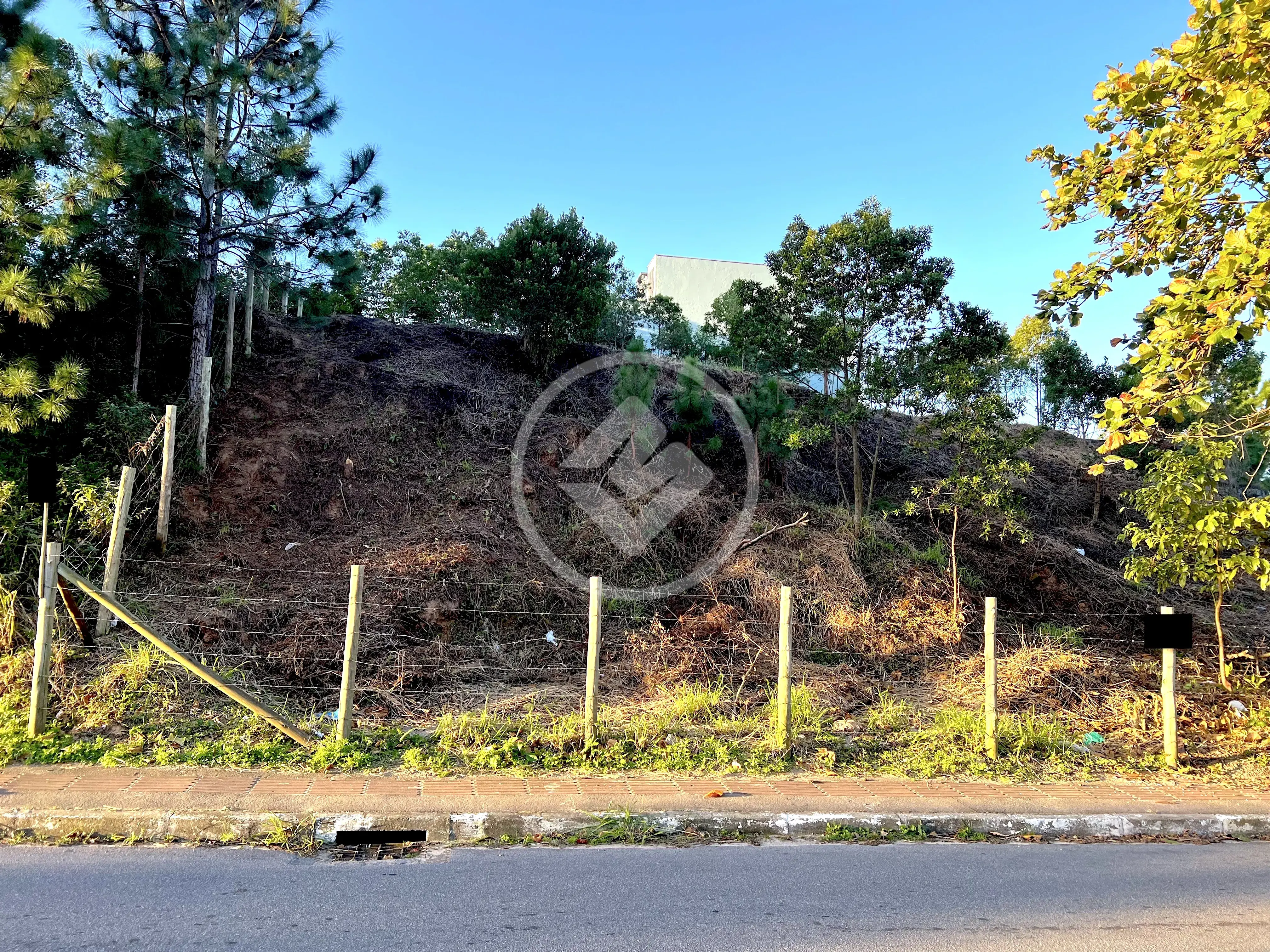 Imagem 1 - Terreno em Rio Tavares, Florianópolis - SC
