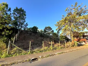 Imagem 2 - Terreno em Rio Tavares, Florianópolis - SC