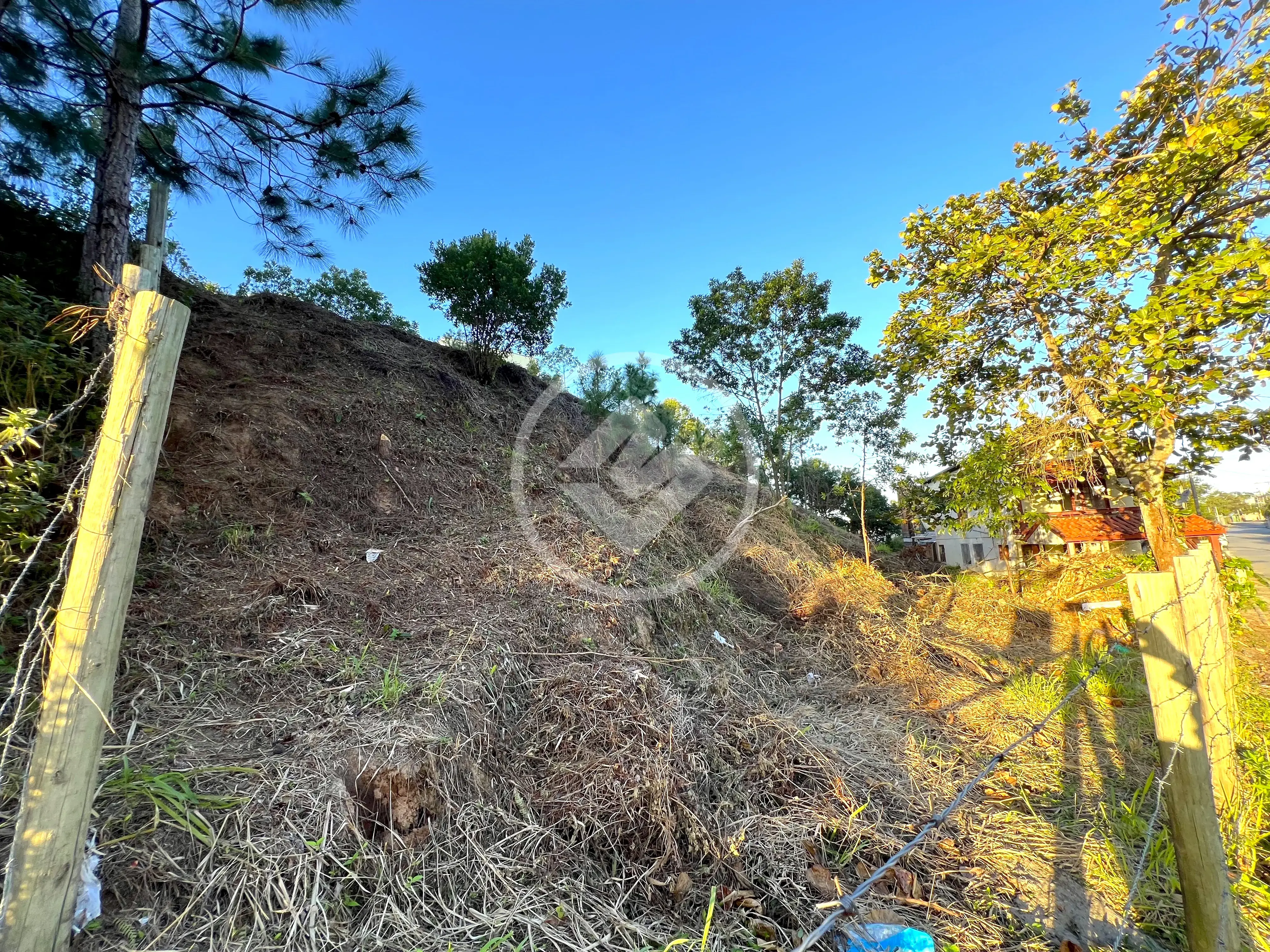 Imagem 6 - Terreno em Rio Tavares, Florianópolis - SC