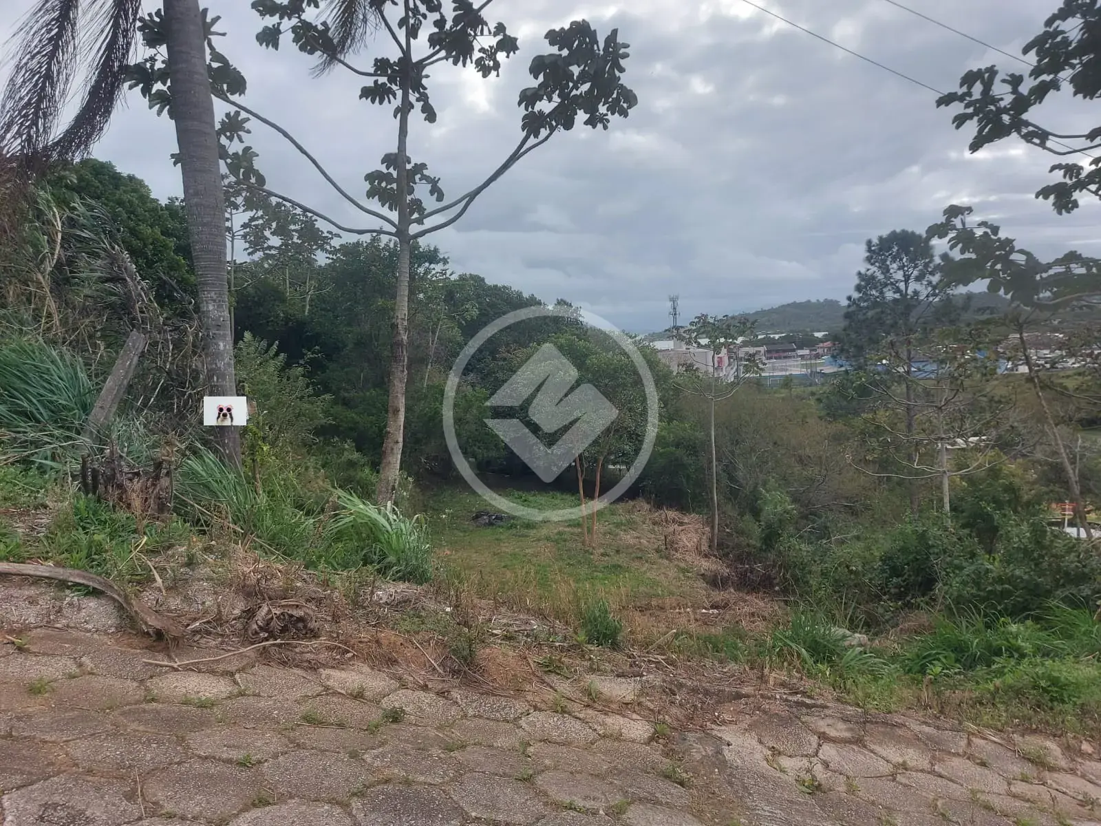 Imagem 1 - Terreno em Ribeirão da Ilha, Florianópolis - SC