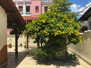 Imagem 6 - Casa em Lagoa da Conceição, Florianópolis - SC