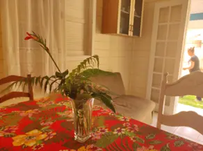 Imagem 4 - Casa em Ingleses do Rio Vermelho, Florianópolis - SC
