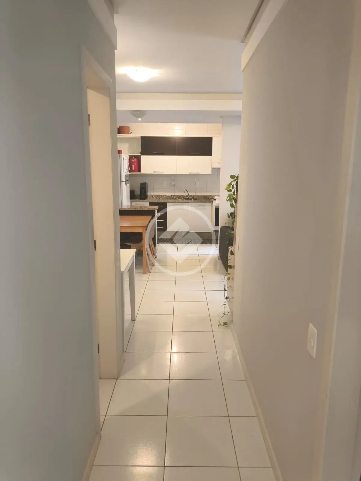 Imagem 6 - Apartamento em Córrego Grande, Florianópolis - SC