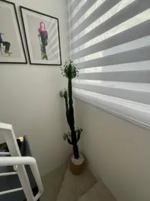Imagem 6 - Casa em Córrego Grande, Florianópolis - SC