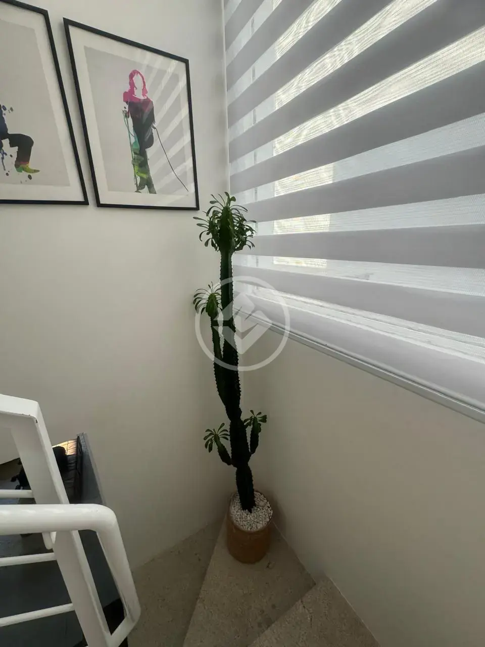 Imagem 6 - Casa em Córrego Grande, Florianópolis - SC