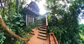 Imagem 4 - Casa em Pântano do Sul, Florianópolis - SC