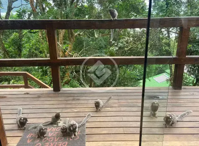 Imagem 3 - Casa em Pântano do Sul, Florianópolis - SC