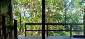Casa Pântano do Sul, Florianópolis - SC — foto 2