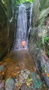 Imagem 3 - Chácara em Centro, Angelina - SC