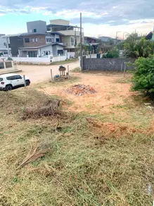 Imagem 5 - Terreno em Rio Tavares, Florianópolis - SC