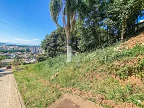 Terreno Córrego Grande, Florianópolis - SC — foto 1