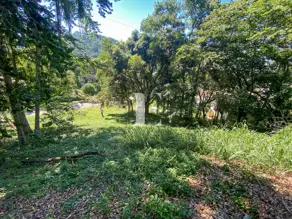 Imagem 6 - Terreno em Córrego Grande, Florianópolis - SC