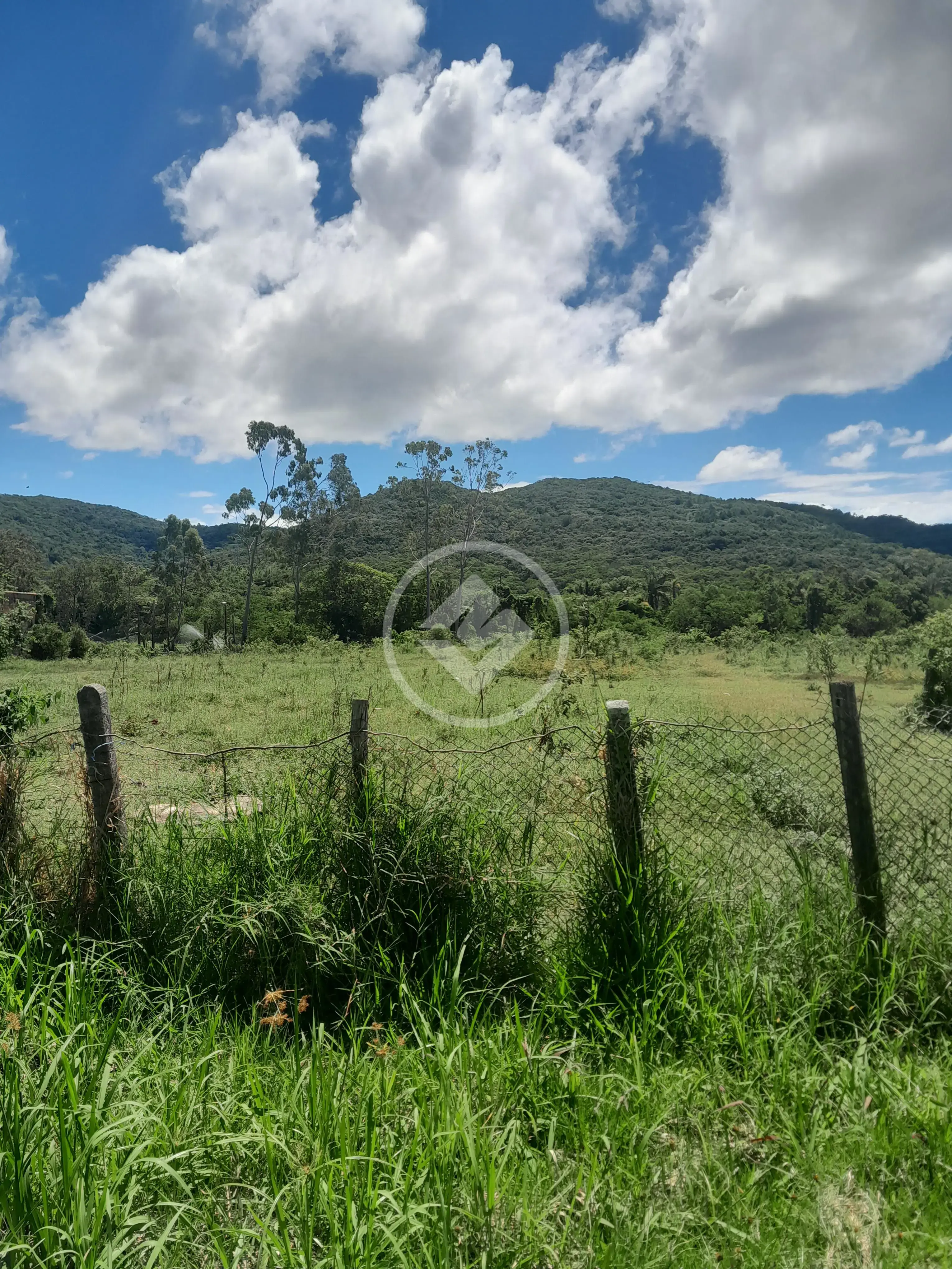 Image 9 - Sítio em Ratones, Florianópolis - SC