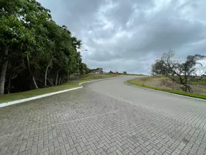 Terreno Condomínio Itacorubi, Florianópolis - SC — foto 2