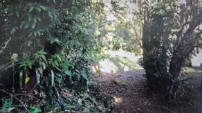 Imagem 3 - Terreno em Campeche, Florianópolis - SC