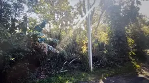 Imagem 4 - Terreno em Campeche, Florianópolis - SC