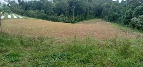 Imagem 2 - Sítio em Invernadinha, Rancho Queimado - SC