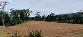 Imagem 5 - Sítio em Invernadinha, Rancho Queimado - SC