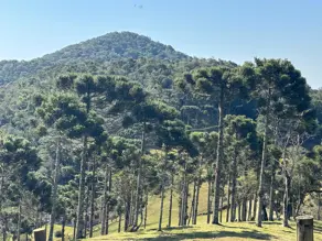 Sítio Invernadinha, Rancho Queimado - SC — foto 2