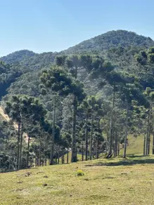 Sítio Invernadinha, Rancho Queimado - SC — foto 1