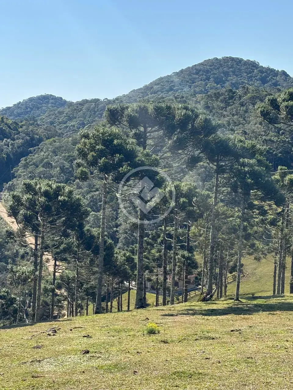 Imagem 1 - Sítio em Invernadinha, Rancho Queimado - SC