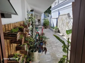 Imagem 4 - Casa em Centro, Florianópolis - SC