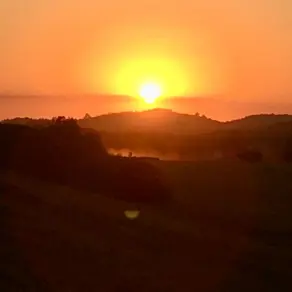 Imagem 4 - Casa em Campo Duna, Garopaba - SC