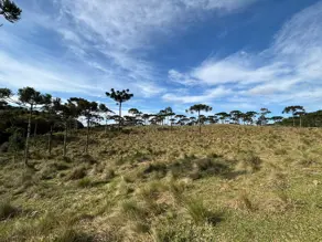 Terreno Invernadinha, Rancho Queimado - SC — foto 1
