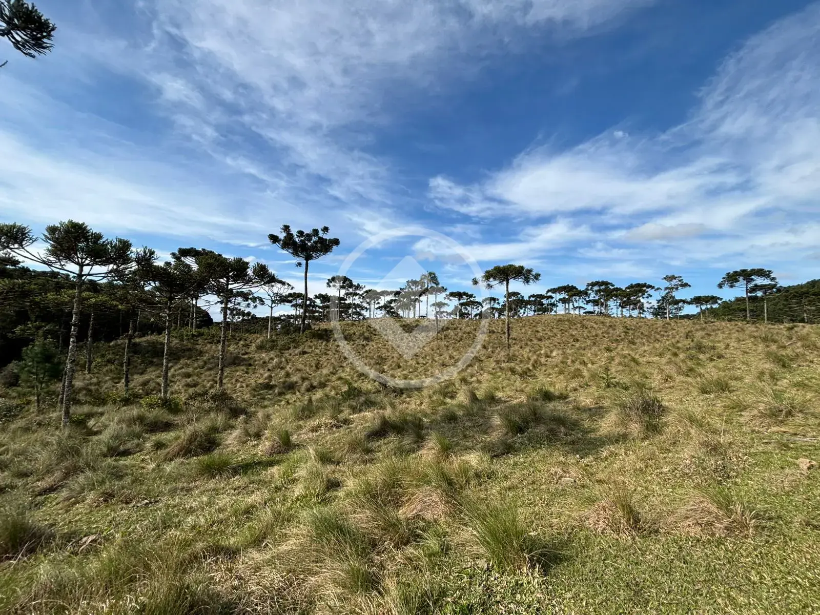 Imagem 1 - Terreno em Invernadinha, Rancho Queimado - SC